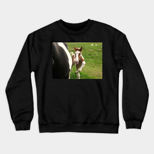 The Irish Dancer Crewneck Sweatshirt by Ladymoose